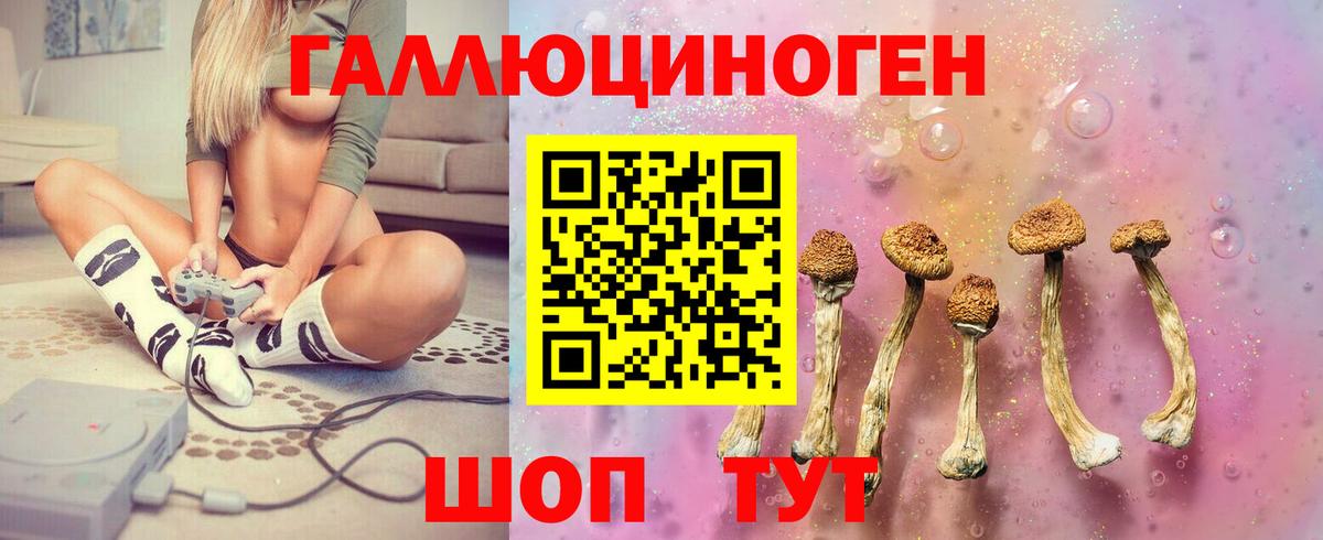 Псилоцибиновые грибы мицелий  Псилоцибиновые грибы Magic Shrooms  Майкоп  Вход с VPN 